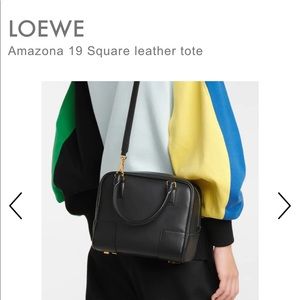 ISO IN SEARCH OF! Loewe Amazona 19 Square Leather Bag